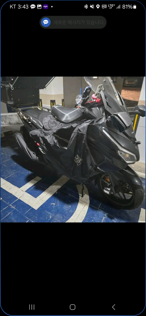 포르자350 25년식 이미지