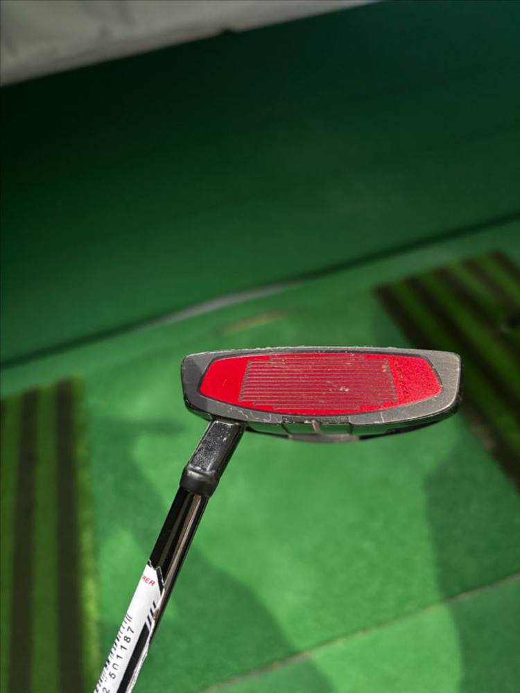 테일러메이드 마이스파이더 투어x 커스텀 퍼터 34인치--3