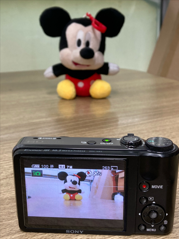 소니 사이버샷 디카 SONY DSC-HX5--7