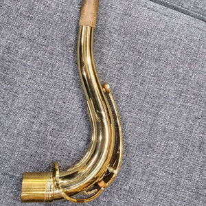 레퍼런스54 테너색소폰 이미지