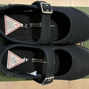 캐즈 플랫폼 240