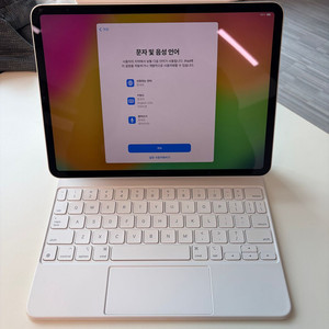 아이패드 프로 M2 11인치 256G + 매직키보드 + 애플팬슬2세대