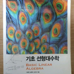기초 선형대수학 (한빛 아카데미)