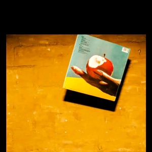 메이슨 더 소울 카더가든 포토그래퍼 삽니다 이미지