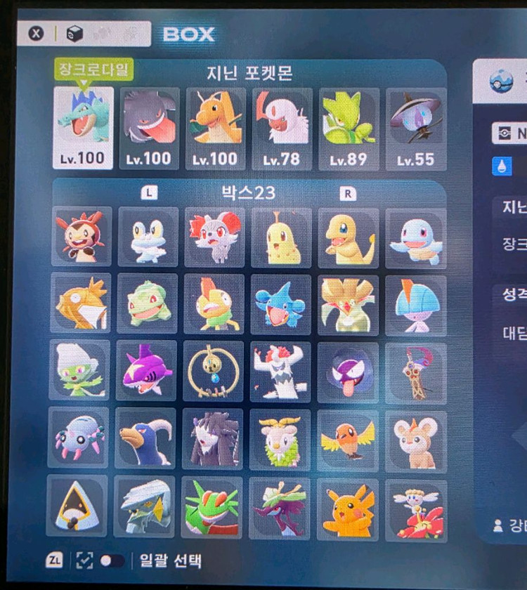 포켓몬 za 우두로치 분양(일부 xs 사이즈)--1