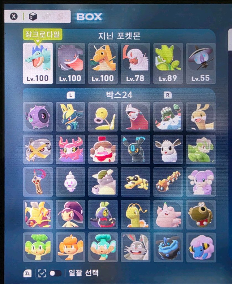 포켓몬 za 우두로치 분양(일부 xs 사이즈)--2