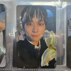 엔하이픈 다크블러드 공방 정원 선우 제이 종성 포카 enhypen dark blood pc jungwon sunno 이미지