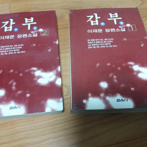 이재운.장편소설/갑부/전2권.택포21.000원.