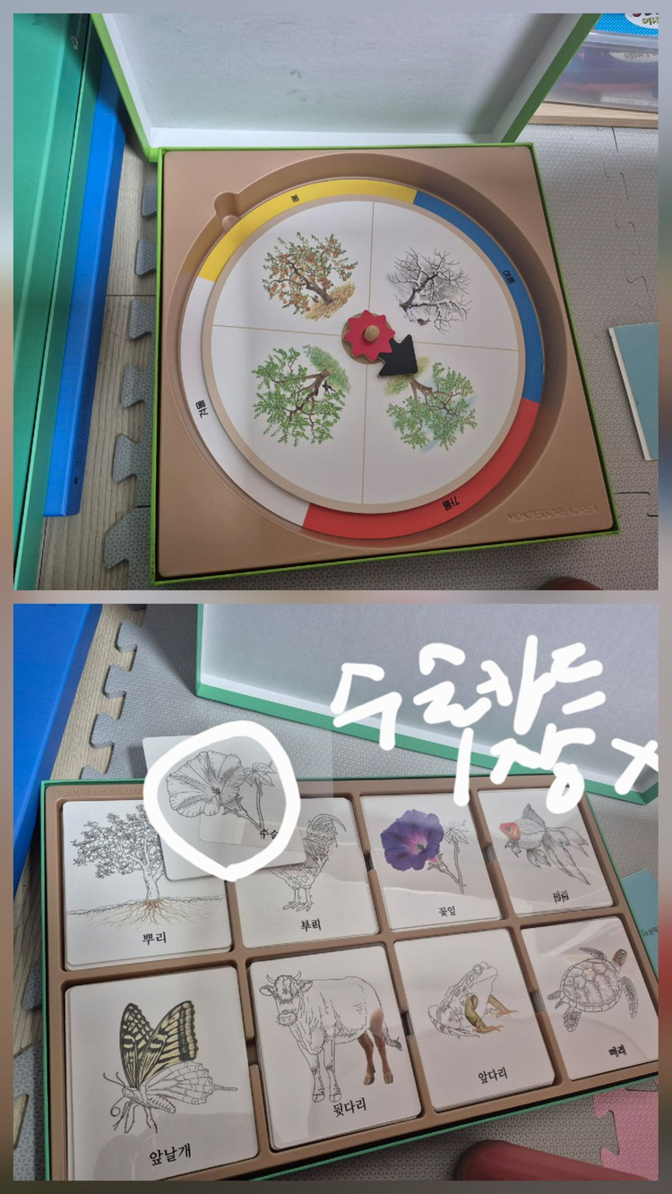 몬테소리 교구 세트(리틀몬테소리 풀구성)--2