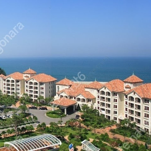 (3월/4월/5월 어린이날 황금연휴) 양양 삼척 진도 남해 르네블루 쏠비치 양도! 이미지