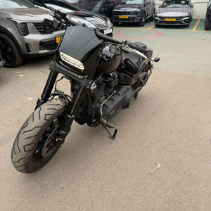 할리데이비슨 팻밥107 2020년식