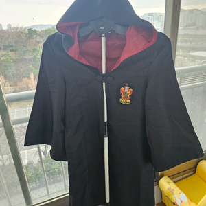 해리포터 그리핀도르 코스튬