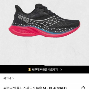 써코니 엔돌핀 스피드5 뉴욕 러닝화 마라톤화 255mm