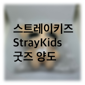 스트레이키즈 StrayKids 굿즈 양도 이미지