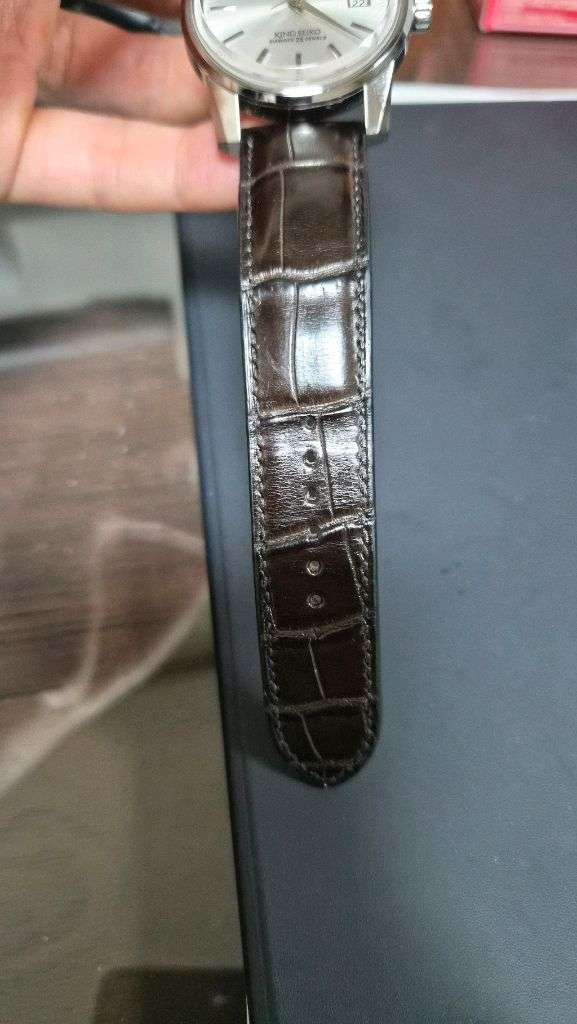 빈치하다 악어스트랩--1