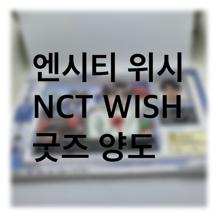 엔시티 위시 NCT WISH 공식 굿즈 양도 이미지