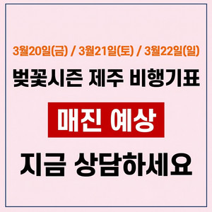 마감임박) 당일 제주-김포/부산/청주/대구/광주 비행기표 이미지