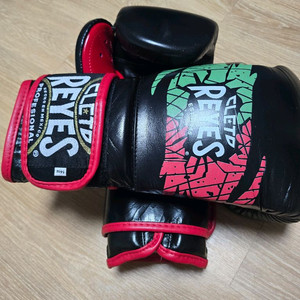 복싱글러브 14온스