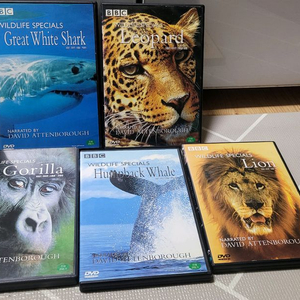 BBC Wildlife Specials DVD 컬렉션입니다 Great White Shark, Leopard, Gor