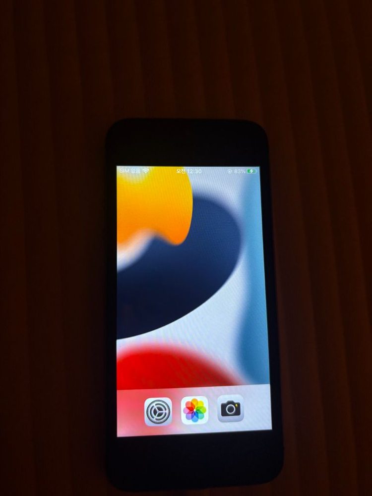 아이폰se 스페이스 그레이 16GB 무음 이미지