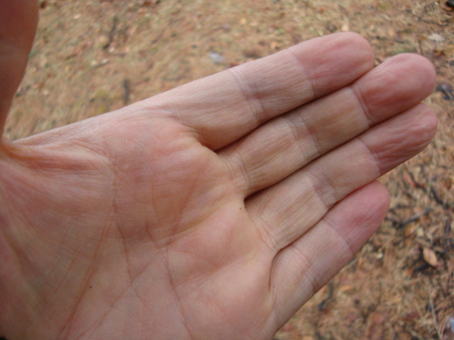 소니 사이버샷 DSC-W130--7