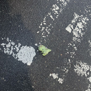 2026 필통 pdf 삽니다 지역사회간호랑 모성간호학 이미지