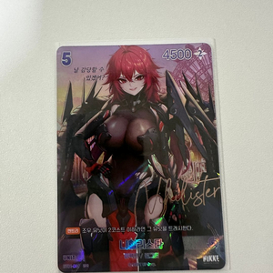 니벨아레나 니케 싸이카드 및 UR카드 모음