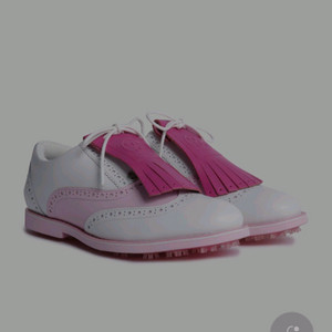 지포어 여지골프화 미사용 신품 240mm 갈리벤터