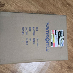 초급처 쌤소나이트 CEDRIC 백팩 QT4 09001