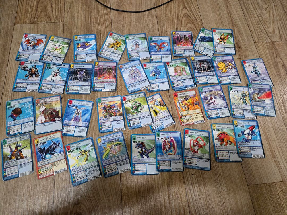 디지몬 카드 컬렉션 세트--1