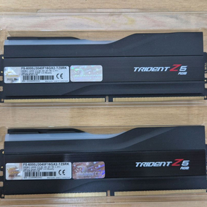 지스킬 트라이던트 DDR5 32GB 6000MHz CL30 RGB 서린 정품