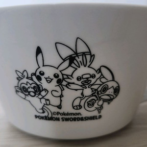 포켓몬스터 소드실드 구매특전