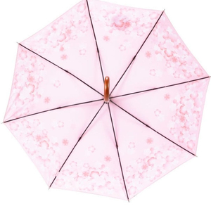 스벅우산 이미지