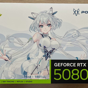 [미개봉] MANLI 지포스 RTX 5080 Polar Fox OC V2
