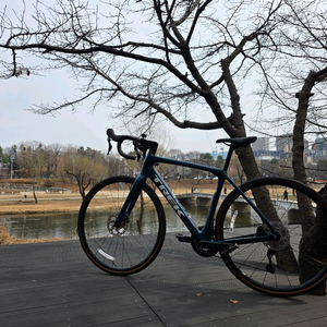 트렉 도마니 SL5 54 사이즈 판매합니다.!(상태최상) 이미지