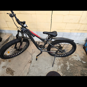 LESPO 팻바이크 자전거 (수리요망)