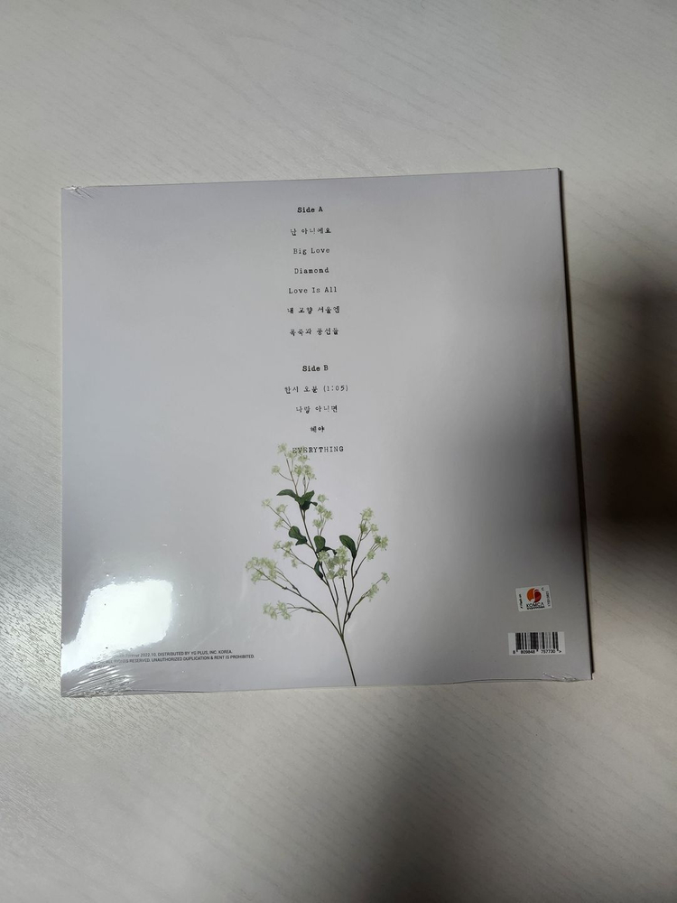 검정치마 team baby lp--1