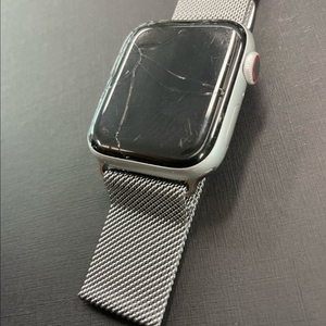 애플워치4 44mm LTE 이미지