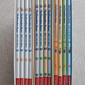 베렌스타인 베어즈 영어 dvd