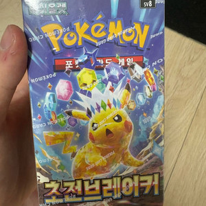 포켓몬카드 초전브레이커