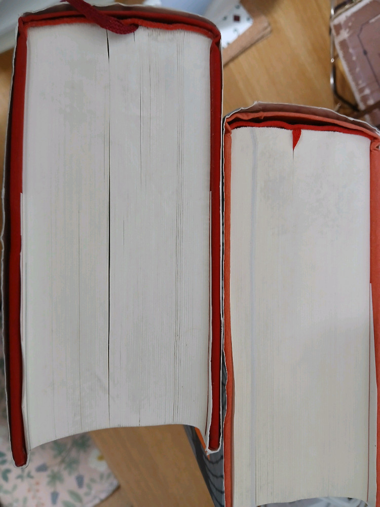 아케이드 프로젝트 발터 벤야민 도서--5