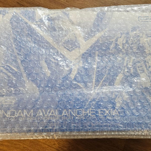 rg 아발란체 엑시아