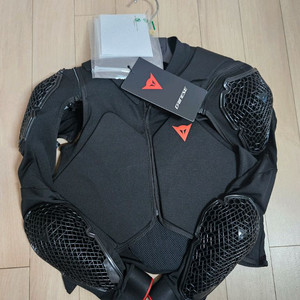 다이네즈 상체보호개