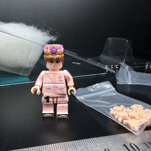 [호환 블록] 지드래곤 미니 피규어 (미사용)