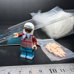 [호환 블록] 지드래곤 미니 피규어 (미사용)