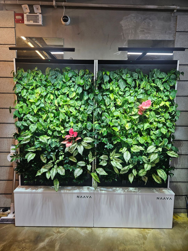 [설치비 0원] 나아바 원(화이트) 렌탈 승계 | 1천만원 진행 無프리미엄 / 종료 후 소유--1