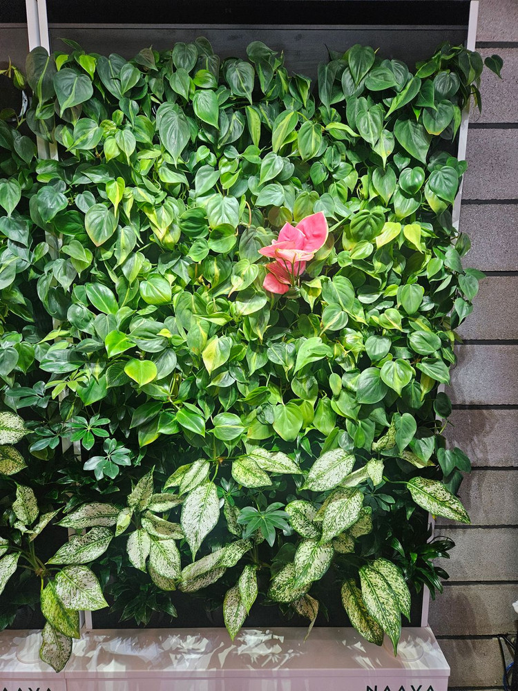 [설치비 0원] 나아바 원(화이트) 렌탈 승계 | 1천만원 진행 無프리미엄 / 종료 후 소유--2