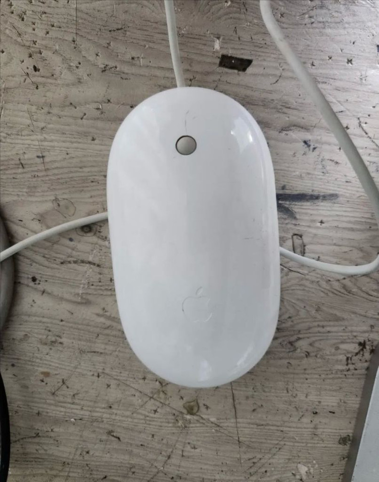 두부맥20인치+애플매직마우스--2