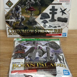 30MF 커스터마이즈 스트럭처1 + 로잔 팔라딘 클래스업 아머