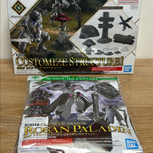 30MF 커스터마이즈 스트럭처1 + 로잔 팔라딘 클래스업 아머